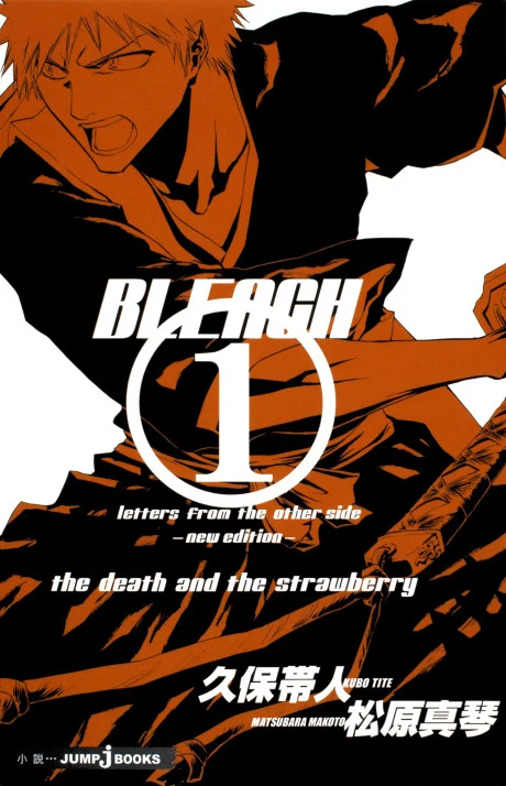 Bleach: Letters From the Other Side Novel cover