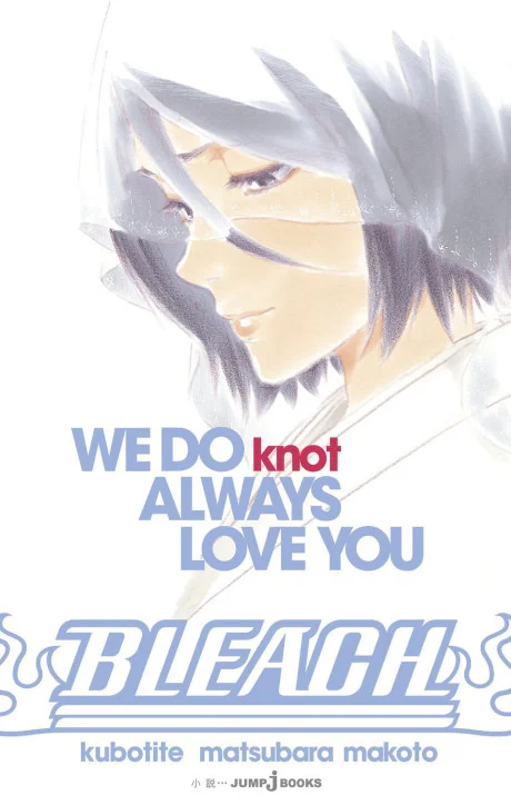 Bleach: We Do Knot Always Love You Novel cover